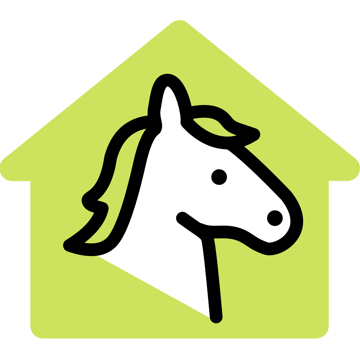 FlatPony